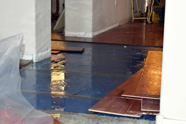 Professional Water Damage Restoration technician working in Matlock, WA